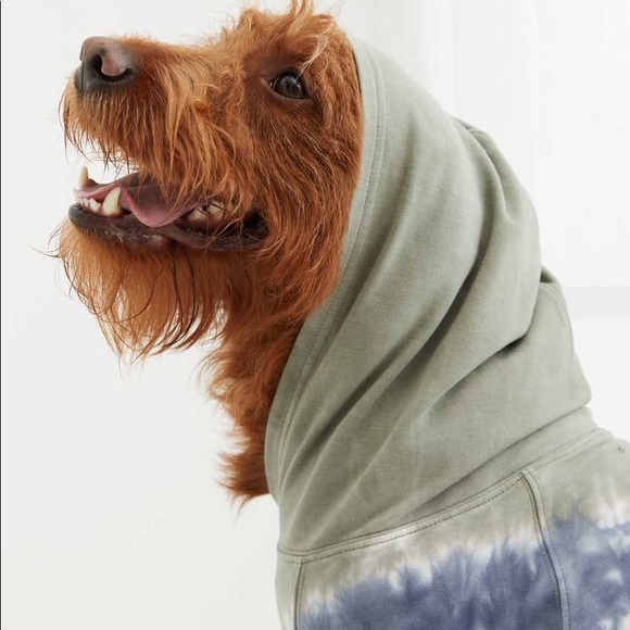 AEO Dog Hoodie - Picture 13 of 13